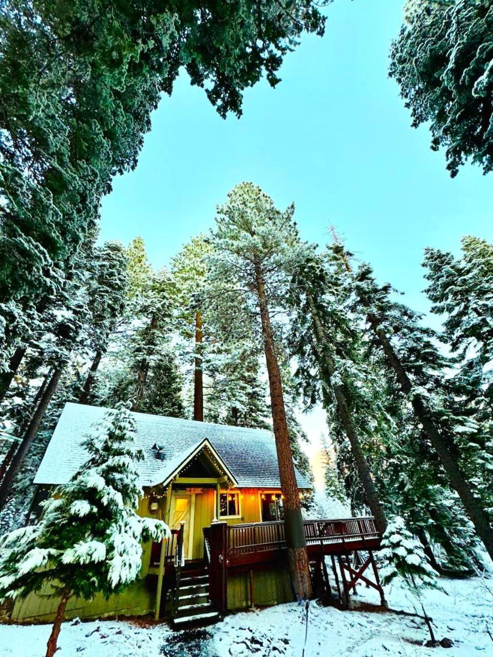 Carnelian Bay The Honey Bear Cabin מראה חיצוני תמונה