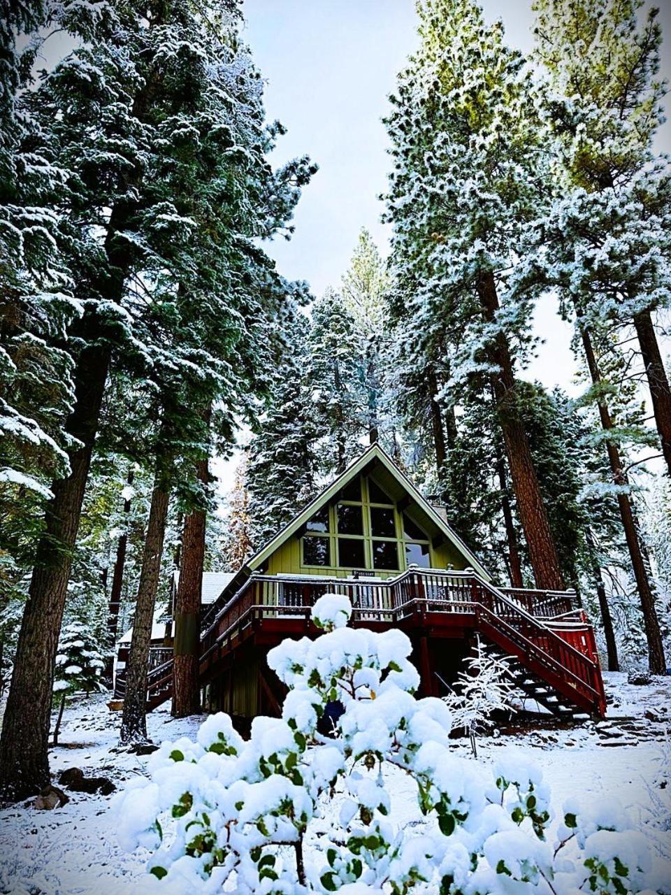 Carnelian Bay The Honey Bear Cabin מראה חיצוני תמונה