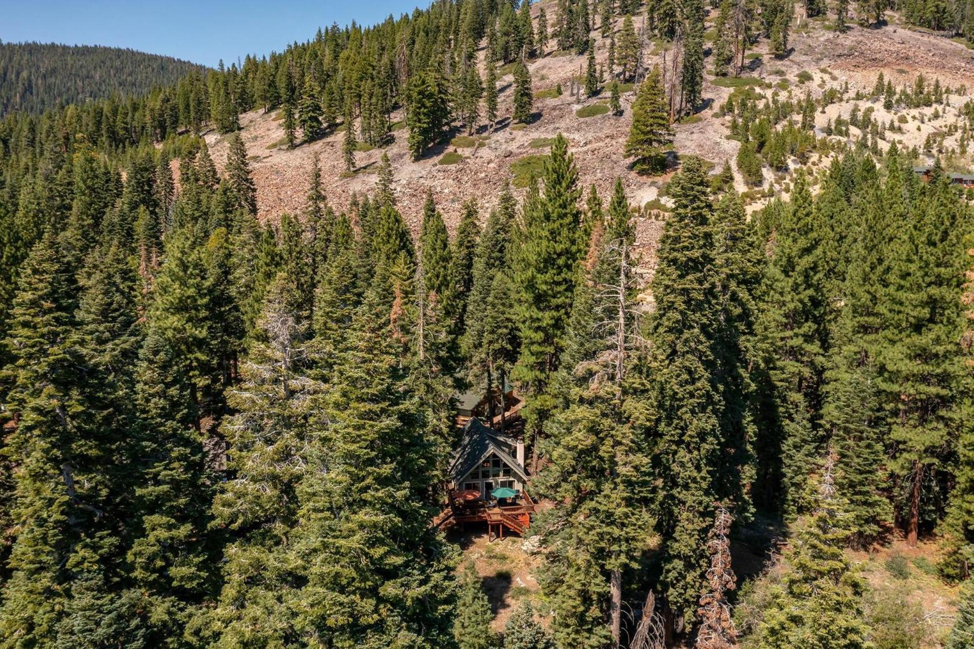 Carnelian Bay The Honey Bear Cabin מראה חיצוני תמונה